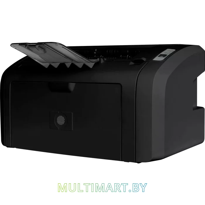Принтер CACTUS CS-LP1120NWB